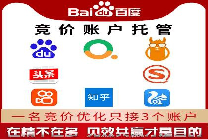 SEM公司案例分析：搜索引擎优化策略与执行